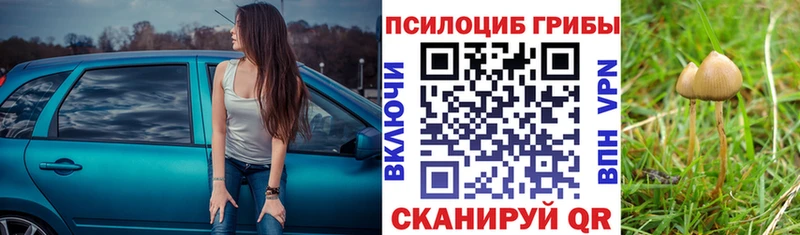 Псилоцибиновые грибы MAGIC MUSHROOMS  ссылка на мегу сайт  Тюмень 